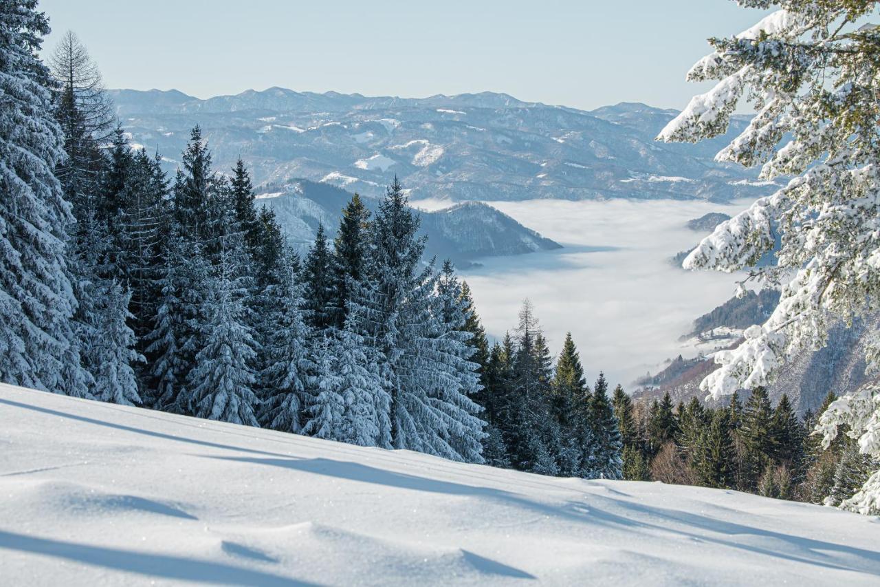 Prenocisca Cerkno Albergue Exterior foto